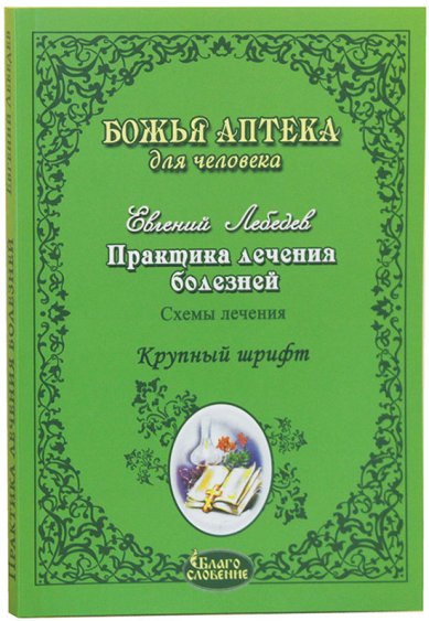 Книги Практика лечения болезней Лебедев Евгений
