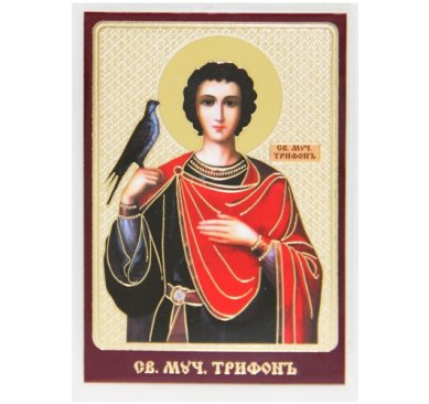 Иконы Трифон мученик икона ламинированная (6 х 8,5 см)