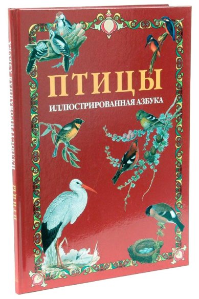 Книги Птицы. Иллюстрированная азбука