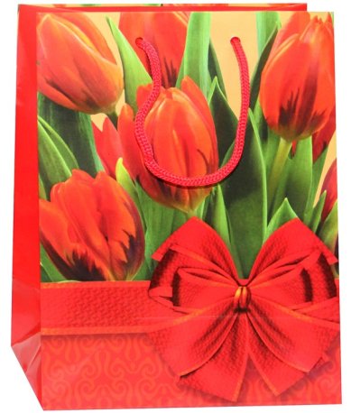 Утварь и подарки Пакет подарочный «Тюльпаны»