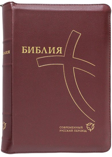 Книги Библия на молнии. Современный русский перевод. Канонические книги