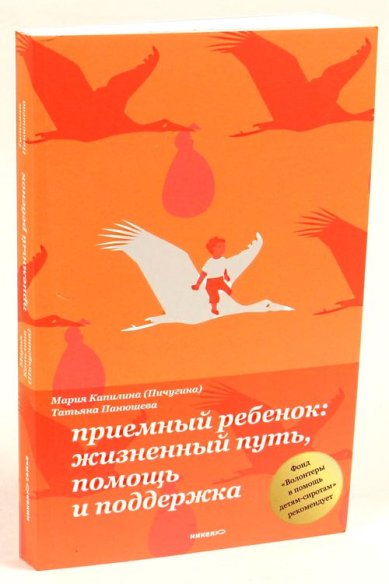 Книги Приемный ребенок: жизненный путь, помощь и поддержка Панюшева Татьяна Дмитриевна