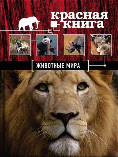 Книги Красная книга. Животные мира