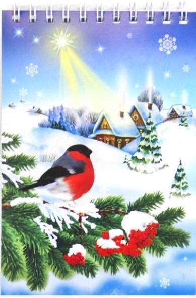 Утварь и подарки Блокнот «С Рождеством Христовым!» (снегирь, 10 х 14,5 см)