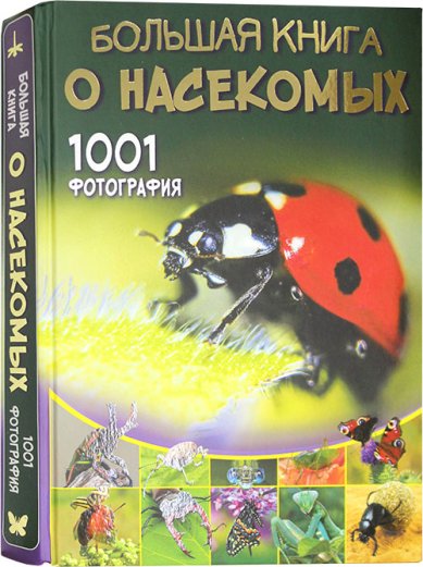Книги Большая книга о насекомых. 1001 фотография