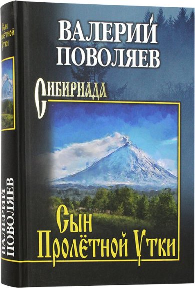 Книги Сын Пролётной Утки