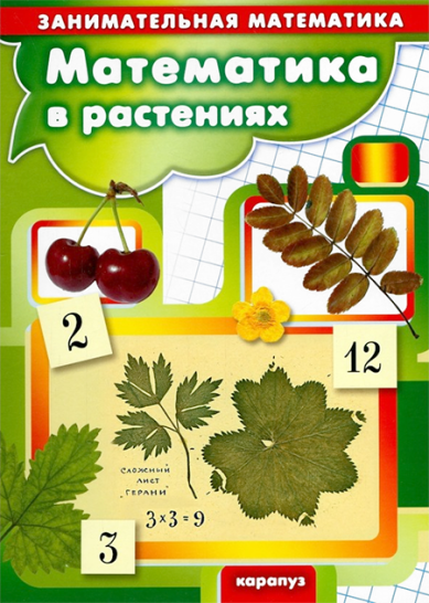 Книги Математика в растениях. Занимательная математика