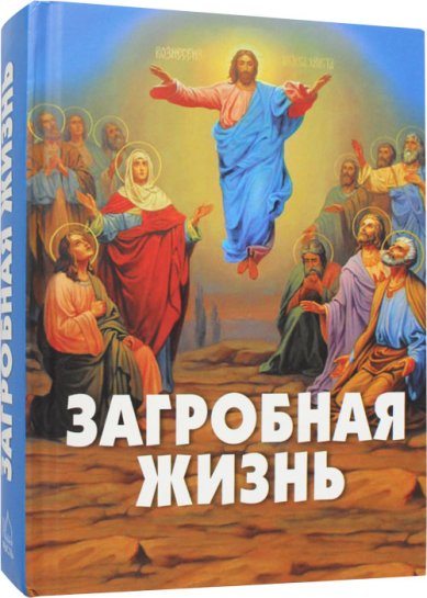 Книги Загробная жизнь Фомин А. В.
