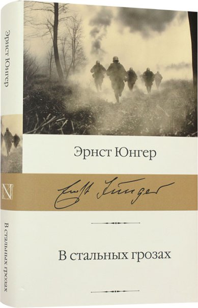 Книги В стальных грозах