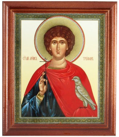 Иконы Трифон мученик икона под стеклом (13 х 16 см, Софрино)