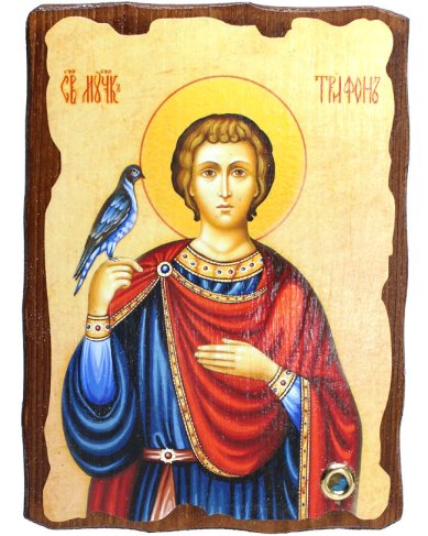 Иконы Трифон св. мч., икона на доске 13х17 см с частицей покровца освященного на мощах святого