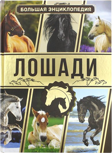 Книги Лошади. Большая энциклопедия