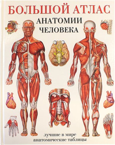 Книги Большой атлас анатомии человека
