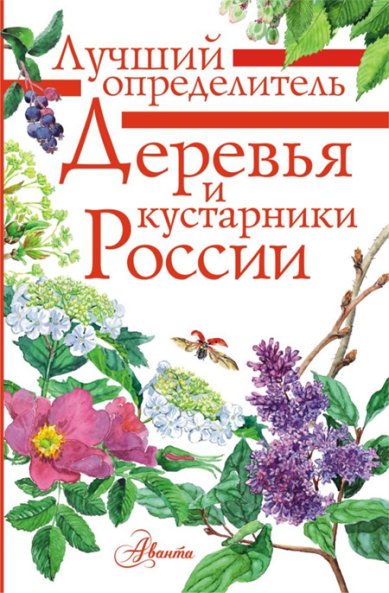 Книги Деревья и кустарники России. Определитель