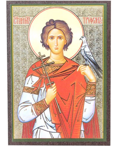 Иконы Трифон Апамейский икона на МДФ (6,3 х 9 см)