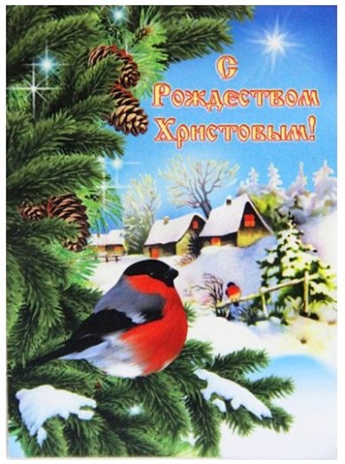 Утварь и подарки Магнит плоский «С Рождеством Христовым!» (снегирь, 5 х 7 см)