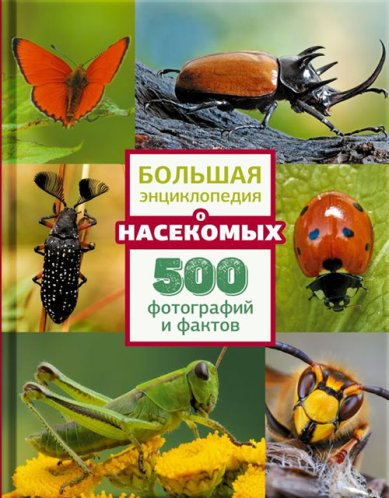Книги Большая энциклопедия о насекомых. 500 фотографий и фактов