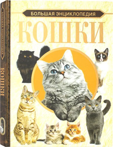 Книги Кошки. Большая энциклопедия