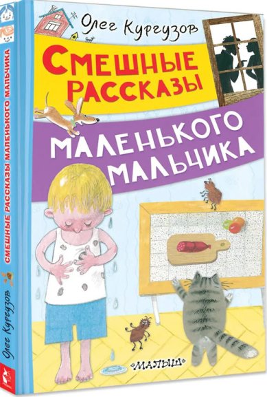 Книги Смешные рассказы маленького мальчика