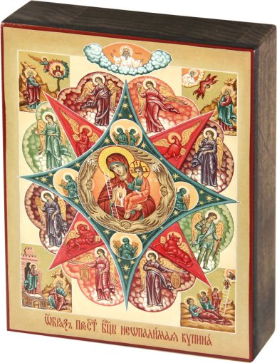 Иконы Неопалимая Купина образ Пресвятой Богородицы, икона на дереве
