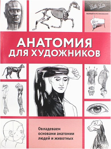 Книги Анатомия для художников