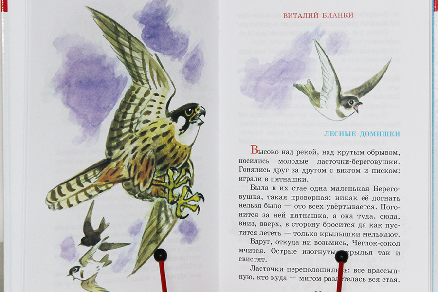 Сценарий тематического дня по произведениям В.Бианки, посвященный Году литературы в России